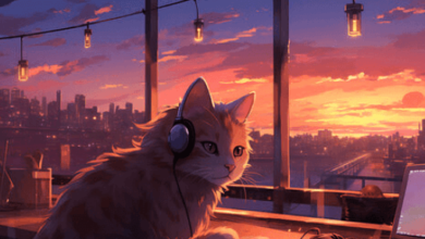 Anime:5vnlw021cuy= Cute:6j_67cx_Pgi= Cat