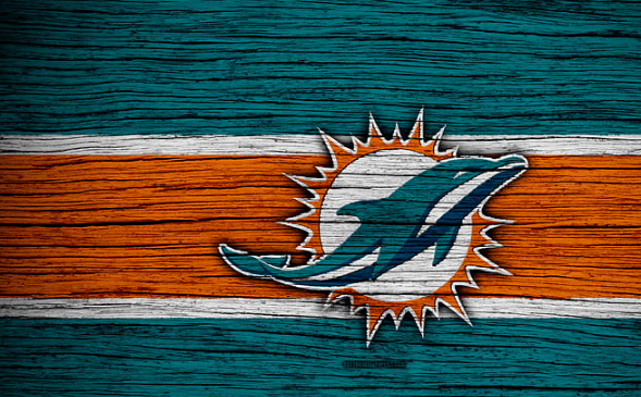 Logo:3bdry-Jarby= Dolphins Football