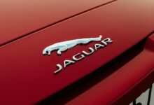 f nborstw product features guide