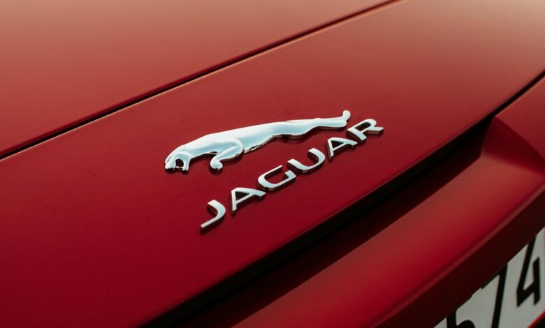 f nborstw product features guide