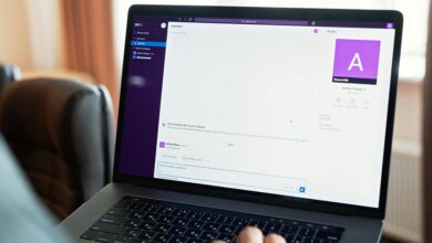 gail green catinchi profile