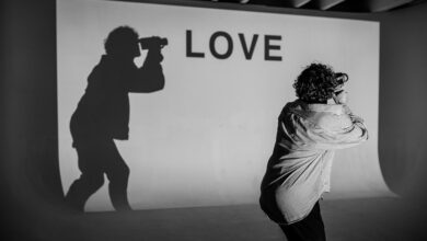 profile overview summary provided