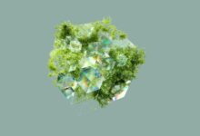 data integrity and traceability