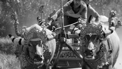 global market competition analysis