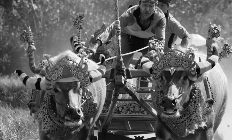 global market competition analysis