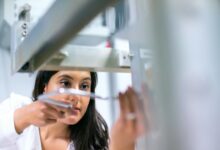 industry growth insights summary