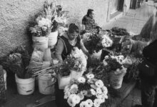 market intelligence data overview