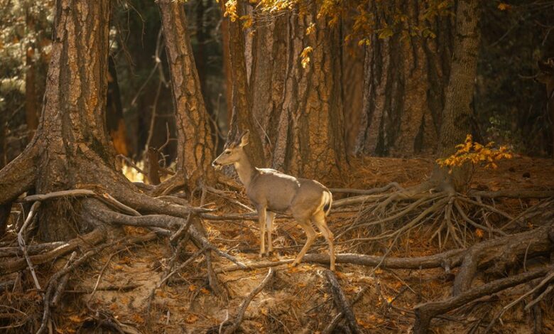 quantitative signal harmonization log