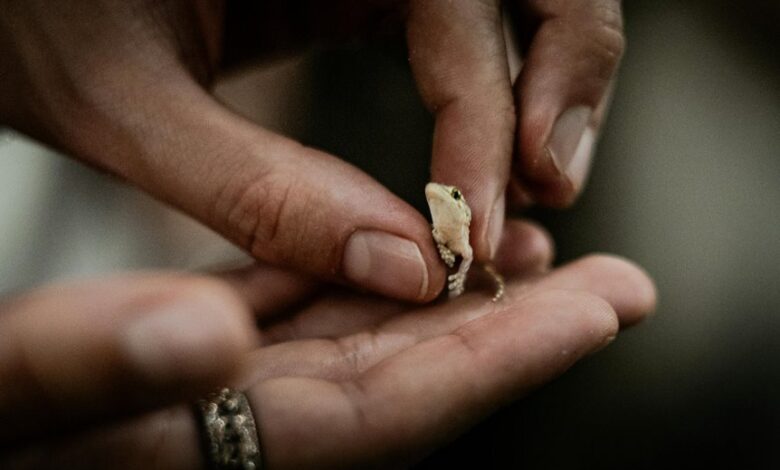 system level metric interaction analysis